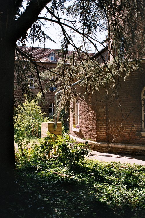 A large tree provides shade within a historic monastery courtyard.